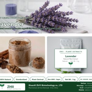 Lavender powder natural Lavender extract powder - ZHII ShaanXi ZhiYi Biotechnology supplier