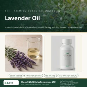 Lavender Oil liquid extract in laboratory beaker - ZHII Plant Extracts by ShaanXi ZhiYi Biotechnology