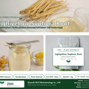 Lighiyellow Sophora Root natural Sophora / Ku Shen extract powder - ZHII ShaanXi ZhiYi Biotechnology supplier
