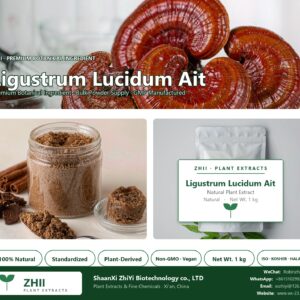 Ligustrum Lucidum Ait P.E /glossy privet fruit extract natural botanical extract powder - ZHII ShaanXi ZhiYi Biotechnology supplier