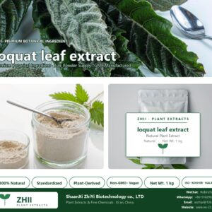 loquat leaf extract powder natural botanical extract powder - ZHII ShaanXi ZhiYi Biotechnology supplier