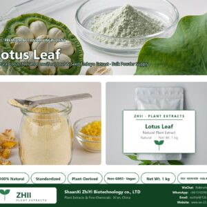 Lotus Leaf natural Lotus extract powder - ZHII ShaanXi ZhiYi Biotechnology supplier