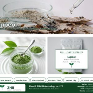 Lupeol natural Birch extract powder - ZHII ShaanXi ZhiYi Biotechnology supplier