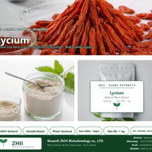Lycium Powder natural Goji Berry extract powder - ZHII ShaanXi ZhiYi Biotechnology supplier