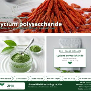 Lycium polysaccharide natural Goji Berry extract powder - ZHII ShaanXi ZhiYi Biotechnology supplier