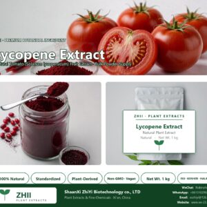 Lycopene Extract Powder natural Tomato extract powder - ZHII ShaanXi ZhiYi Biotechnology supplier