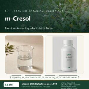 m-Cresol liquid extract in laboratory beaker - ZHII Plant Extracts by ShaanXi ZhiYi Biotechnology