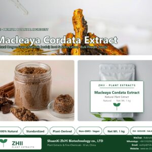 Macleaya Cordata Extract natural Oregon Grape extract powder - ZHII ShaanXi ZhiYi Biotechnology supplier