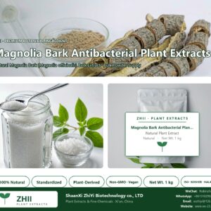 Magnolia Bark Antibacterial Plant Extracts Powder natural Magnolia Bark extract powder - ZHII ShaanXi ZhiYi Biotechnology supplier