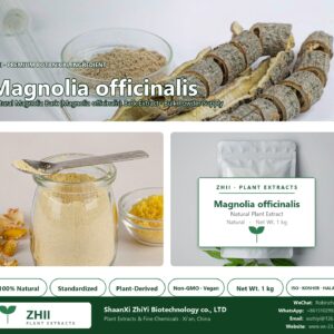 Magnolia officinalis natural Magnolia Bark extract powder - ZHII ShaanXi ZhiYi Biotechnology supplier
