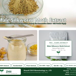 Male Silkworm Moth Extract natural Fermentation Product extract powder - ZHII ShaanXi ZhiYi Biotechnology supplier