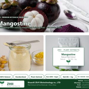Mangostine natural Mangosteen extract powder - ZHII ShaanXi ZhiYi Biotechnology supplier
