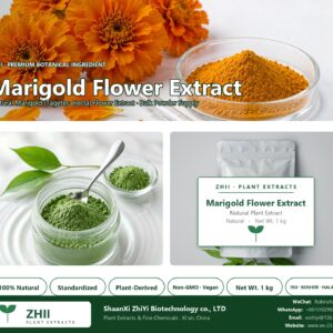 Marigold Flower Extract natural Marigold extract powder - ZHII ShaanXi ZhiYi Biotechnology supplier