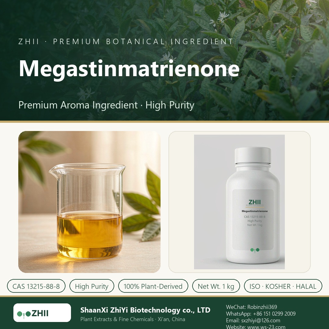 Megastinmatrienone liquid extract in laboratory beaker - ZHII Plant Extracts by ShaanXi ZhiYi Biotechnology