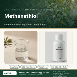 Methanethiol liquid extract in laboratory beaker - ZHII Plant Extracts by ShaanXi ZhiYi Biotechnology