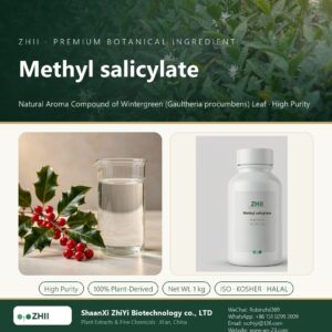 Methyl salicylate liquid extract in laboratory beaker - ZHII Plant Extracts by ShaanXi ZhiYi Biotechnology