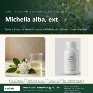 Michelia alba, ext liquid extract in laboratory beaker - ZHII Plant Extracts by ShaanXi ZhiYi Biotechnology