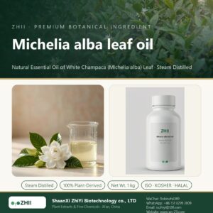Michelia alba leaf oil liquid extract in laboratory beaker - ZHII Plant Extracts by ShaanXi ZhiYi Biotechnology