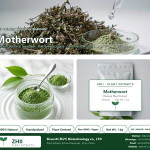 Motherwort natural botanical extract powder - ZHII ShaanXi ZhiYi Biotechnology supplier