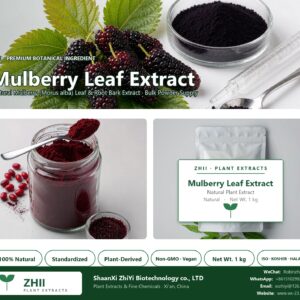 Mulberry Leaf Extract natural Mulberry extract powder - ZHII ShaanXi ZhiYi Biotechnology supplier