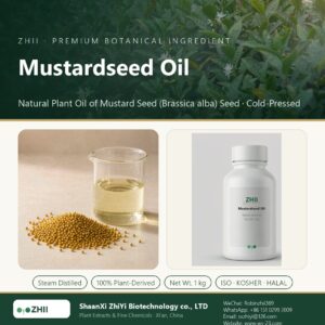Mustardseed Oil liquid extract in laboratory beaker - ZHII Plant Extracts by ShaanXi ZhiYi Biotechnology