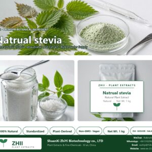 Natrual stevia natural Stevia extract powder - ZHII ShaanXi ZhiYi Biotechnology supplier