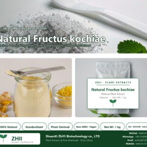 Natural Fructus kochiae P.E/fructus kochiae extract natural botanical extract powder - ZHII ShaanXi ZhiYi Biotechnology supplier