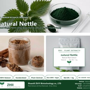 natural Nettle natural Stinging Nettle extract powder - ZHII ShaanXi ZhiYi Biotechnology supplier