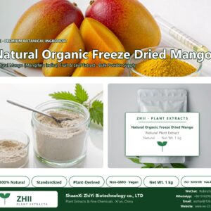 Natural Organic Freeze Dried Mango Powder natural Mango extract powder - ZHII ShaanXi ZhiYi Biotechnology supplier
