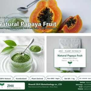 Natural Papaya Fruit Powder natural Papaya extract powder - ZHII ShaanXi ZhiYi Biotechnology supplier