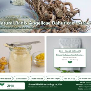 Natural Radix Angelicae Dahuricae Extract natural botanical extract powder - ZHII ShaanXi ZhiYi Biotechnology supplier