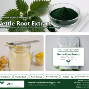 Nettle Root Extract natural Stinging Nettle extract powder - ZHII ShaanXi ZhiYi Biotechnology supplier
