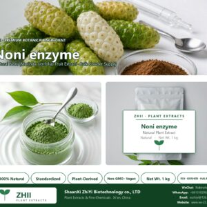 Noni enzyme powder natural Noni extract powder - ZHII ShaanXi ZhiYi Biotechnology supplier