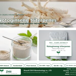 Notoginseng triterpenes natural Asian Ginseng extract powder - ZHII ShaanXi ZhiYi Biotechnology supplier