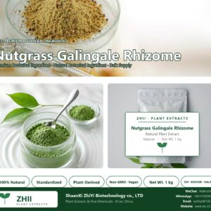 Nutgrass Galingale Rhizome. natural botanical extract powder - ZHII ShaanXi ZhiYi Biotechnology supplier