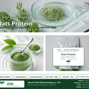 Oats Protein natural Green Oat extract powder - ZHII ShaanXi ZhiYi Biotechnology supplier