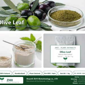 Olive Leaf natural Olive extract powder - ZHII ShaanXi ZhiYi Biotechnology supplier