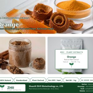 Orange Powder natural Citrus extract powder - ZHII ShaanXi ZhiYi Biotechnology supplier