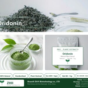 Oridonin natural botanical extract powder - ZHII ShaanXi ZhiYi Biotechnology supplier