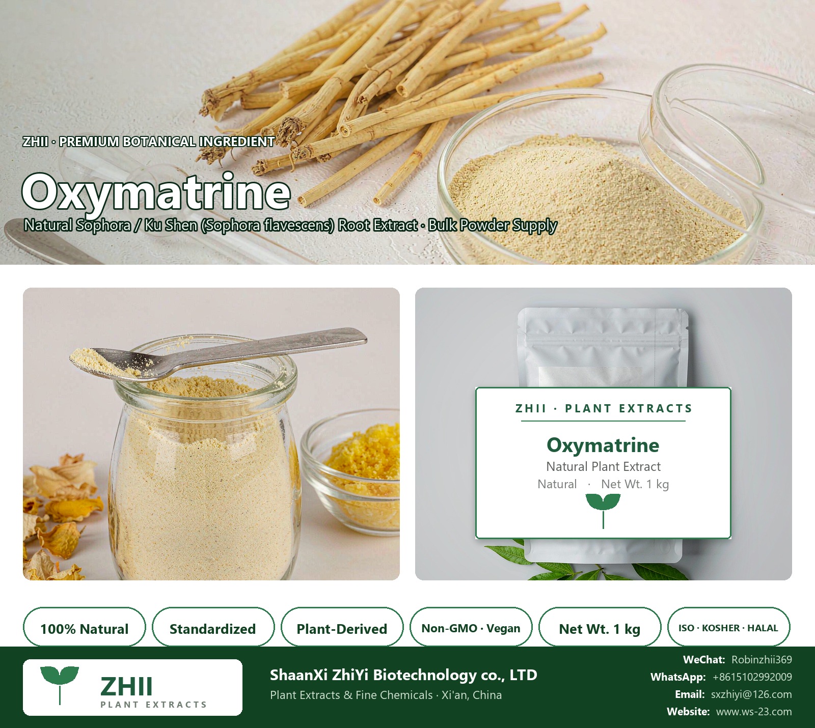 Oxymatrine / Marine / Matrine natural Sophora / Ku Shen extract powder - ZHII ShaanXi ZhiYi Biotechnology supplier