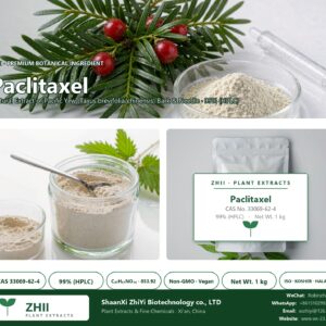 Paclitaxel CAS 33069-62-4 natural plant extract from Pacific Yew - ZHII ShaanXi ZhiYi Biotechnology supplier