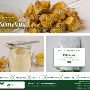 Palmatine CAS 3486-67-7 natural plant extract from Coptis / Huang Lian - ZHII ShaanXi ZhiYi Biotechnology supplier