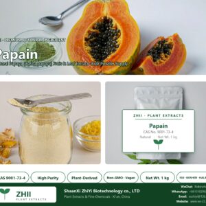 Papain CAS 9001-73-4 natural plant extract from Papaya - ZHII ShaanXi ZhiYi Biotechnology supplier