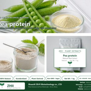 Pea protein powder natural botanical extract powder - ZHII ShaanXi ZhiYi Biotechnology supplier