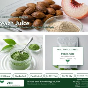 Peach Juice Powder natural Peach extract powder - ZHII ShaanXi ZhiYi Biotechnology supplier