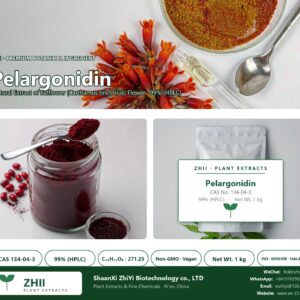 Pelargonidin CAS 134-04-3 natural plant extract from Safflower - ZHII ShaanXi ZhiYi Biotechnology supplier