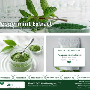 Peppermint Extract natural Peppermint extract powder - ZHII ShaanXi ZhiYi Biotechnology supplier