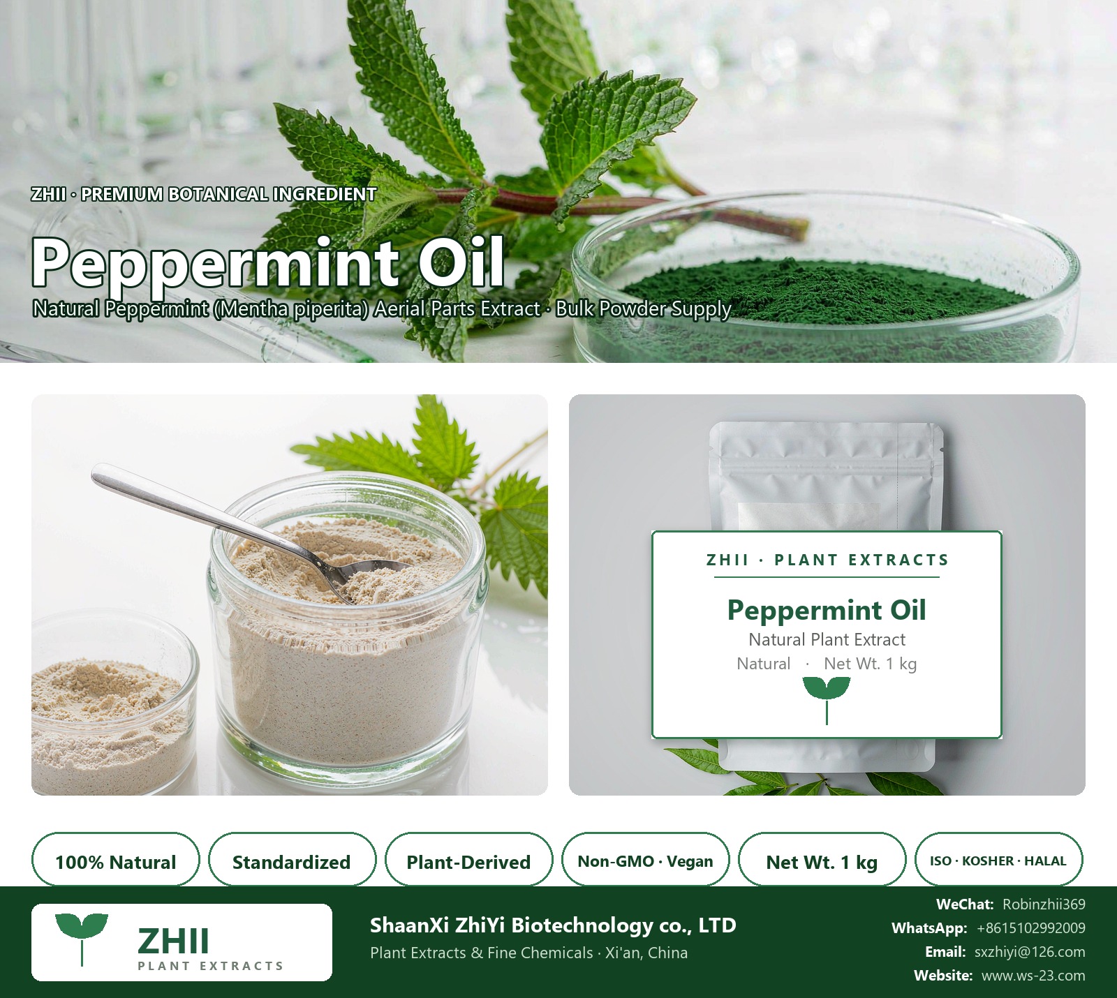 Peppermint Oil natural Peppermint extract powder - ZHII ShaanXi ZhiYi Biotechnology supplier