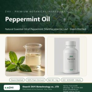 Peppermint Oil liquid extract in laboratory beaker - ZHII Plant Extracts by ShaanXi ZhiYi Biotechnology
