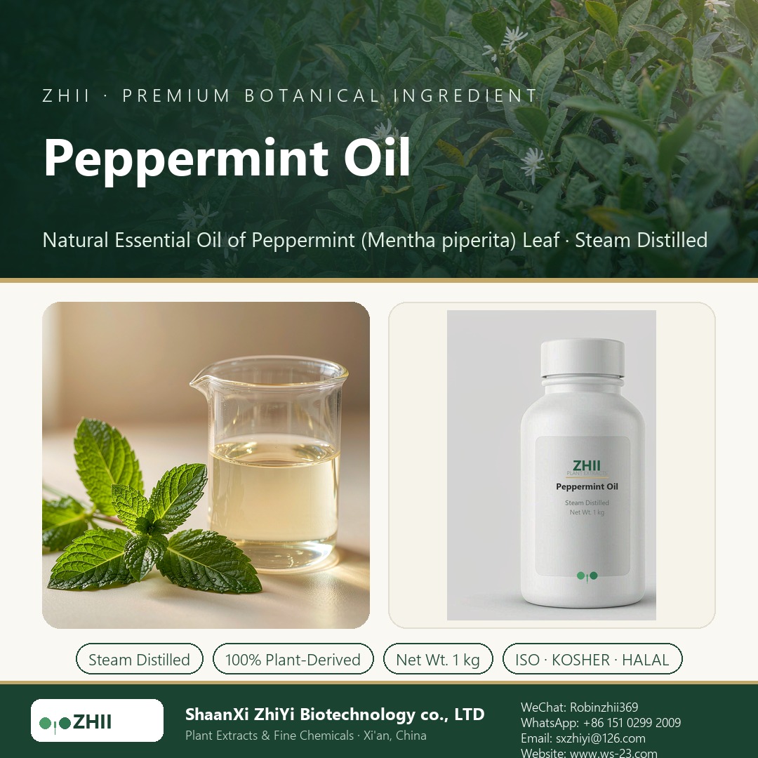 Peppermint Oil liquid extract in laboratory beaker - ZHII Plant Extracts by ShaanXi ZhiYi Biotechnology